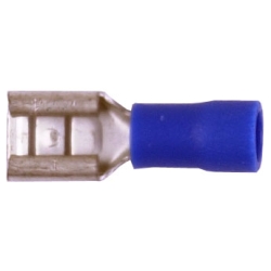Quick Slides (Female)