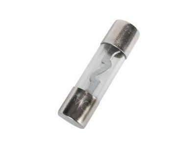 AGU BLN 40A AGU40 FUSE 10 x 38mm