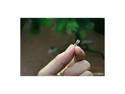 6pk of 3 Amp Miniture Fuse, Common in Christmas Decorations and Christmas Tree Lamps, 3mm x 10mm