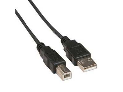 USB 2.0 A MALE TO B MALE 3 ft
