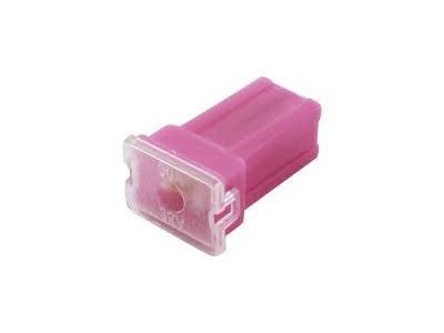 Pal30A Mini Auto Automotive Fuse 10mm x 12mm x 27mm Tall