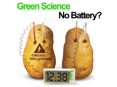 Potato Battery Kit or Lemon Battery Kit with 2 Copper Rods, 2 Zinc Rods, Digital Clock, and Wiring