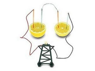 Enviro Lemon Battery Kit with 4 Copper Rods, 4 Zinc Rods, Accessories, and Wiring