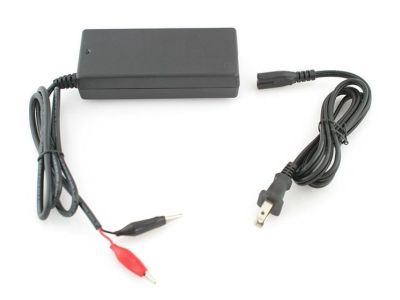 12VDC 3A 3000MA Output to Alligator Clips POWER SUPPLY 100-240V Input FC123AQ FLOATING CHARGER FOR SEALED LEAD ACID BATTERIES ECU-036-12