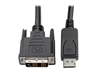 Display Port Male to DVI Male Cable 6ft
