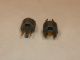 ELECTRO VOICE EV MALE SOCKET FOR ELECTRO-VOICE 5000 SERIES CARTRIDGES FFZ