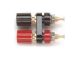 3016 Double / Dual Miniature Binding Post, Gold-Plated, Red and Black on Black W21