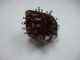 16661 900-7642 300MA 125VAC MAKE BEFORE BREAK ROTARY SWITCH