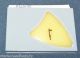 STYLUS for Astatic N342 fits GARRARD GC8-1-D GC8-1 GC8 cartridge 491-S3 78 RPM