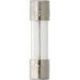 5pk 6 AMP FUSE GMC 5x20mm Medium Blow