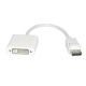 Display Port Male to DVI Female Adapter Cable