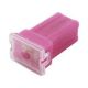 Pal30A Mini Auto Automotive Fuse 10mm x 12mm x 27mm Tall