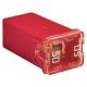 JCase 50A Amp Mini Auto Automotive Fuse 10mm x 12mm x 24mm Tall FMX 495 Series