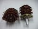 39028 MAKE BEFORE BREAK 900-6983 300MA 125VAC ROTARY SWITCH
