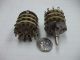 39029 249-6415 223025-A3 ROTARY SWITCH