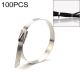 100PK Stainless Steel Wire Tie 3/16 inch x 10 inch, 4.6x250mm