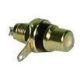 GOLD RCA JACK